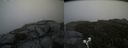 ./images/calvert/buxton2/20190729/buxton220190729_124003M.jpg