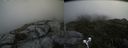 ./images/calvert/buxton2/20190729/buxton220190729_130003M.jpg