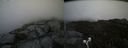 ./images/calvert/buxton2/20190729/buxton220190729_153502M.jpg