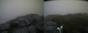 ./images/calvert/buxton2/20190729/buxton220190729_171502M.jpg