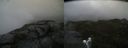 ./images/calvert/buxton2/20190730/buxton220190730_142502M.jpg
