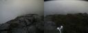 ./images/calvert/buxton2/20190730/buxton220190730_143502M.jpg