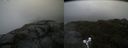 ./images/calvert/buxton2/20190730/buxton220190730_144002M.jpg