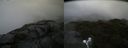 ./images/calvert/buxton2/20190730/buxton220190730_144502M.jpg