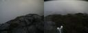 ./images/calvert/buxton2/20190730/buxton220190730_145502M.jpg