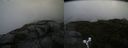 ./images/calvert/buxton2/20190730/buxton220190730_151002M.jpg