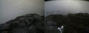 ./images/calvert/buxton2/20190730/buxton220190730_152002M.jpg