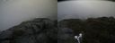./images/calvert/buxton2/20190730/buxton220190730_152503M.jpg