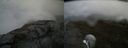 ./images/calvert/buxton2/20190730/buxton220190730_163003M.jpg