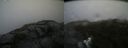 ./images/calvert/buxton2/20190730/buxton220190730_183503M.jpg