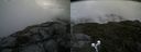 ./images/calvert/buxton2/20190731/buxton220190731_110003M.jpg