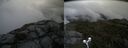 ./images/calvert/buxton2/20190731/buxton220190731_112503M.jpg