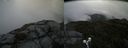 ./images/calvert/buxton2/20190731/buxton220190731_113503M.jpg
