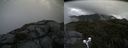 ./images/calvert/buxton2/20190731/buxton220190731_124002M.jpg