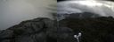 ./images/calvert/buxton2/20190731/buxton220190731_125502M.jpg