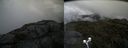 ./images/calvert/buxton2/20190731/buxton220190731_130502M.jpg