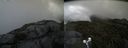 ./images/calvert/buxton2/20190731/buxton220190731_133503M.jpg