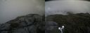 ./images/calvert/buxton2/20190731/buxton220190731_134003M.jpg