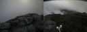./images/calvert/buxton2/20190731/buxton220190731_135003M.jpg