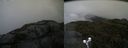 ./images/calvert/buxton2/20190731/buxton220190731_142003M.jpg