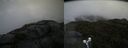 ./images/calvert/buxton2/20190731/buxton220190731_142503M.jpg