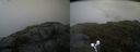 ./images/calvert/buxton2/20190731/buxton220190731_143503M.jpg