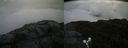 ./images/calvert/buxton2/20190731/buxton220190731_145502M.jpg