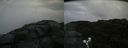 ./images/calvert/buxton2/20190731/buxton220190731_150002M.jpg