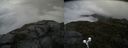 ./images/calvert/buxton2/20190731/buxton220190731_153002M.jpg