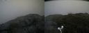 ./images/calvert/buxton2/20190731/buxton220190731_161503M.jpg