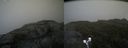 ./images/calvert/buxton2/20190731/buxton220190731_164003M.jpg
