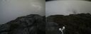./images/calvert/buxton2/20190731/buxton220190731_165503M.jpg