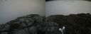 ./images/calvert/buxton2/20190731/buxton220190731_183002M.jpg