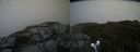 ./images/calvert/buxton2/20190731/buxton220190731_183502M.jpg