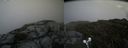 ./images/calvert/buxton2/20190731/buxton220190731_191503M.jpg