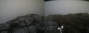 ./images/calvert/buxton2/20190731/buxton220190731_203003M.jpg