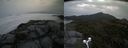 ./images/calvert/buxton2/20190801/buxton220190801_085003M.jpg