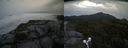 ./images/calvert/buxton2/20190801/buxton220190801_091003M.jpg