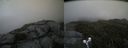./images/calvert/buxton2/20190801/buxton220190801_140503M.jpg