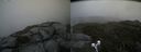 ./images/calvert/buxton2/20190801/buxton220190801_164503M.jpg