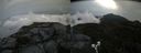 ./images/calvert/buxton2/20190802/buxton220190802_101003M.jpg