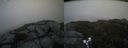 ./images/calvert/buxton2/20190802/buxton220190802_145002M.jpg