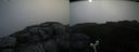 ./images/calvert/buxton2/20190808/buxton220190808_084002M.jpg