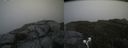 ./images/calvert/buxton2/20190808/buxton220190808_124003M.jpg