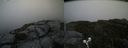 ./images/calvert/buxton2/20190808/buxton220190808_125503M.jpg
