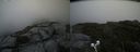 ./images/calvert/buxton2/20190808/buxton220190808_134502M.jpg