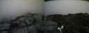 ./images/calvert/buxton2/20190808/buxton220190808_135002M.jpg