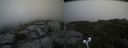 ./images/calvert/buxton2/20190808/buxton220190808_135502M.jpg