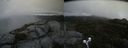 ./images/calvert/buxton2/20190809/buxton220190809_081003M.jpg
