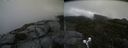 ./images/calvert/buxton2/20190809/buxton220190809_093502M.jpg